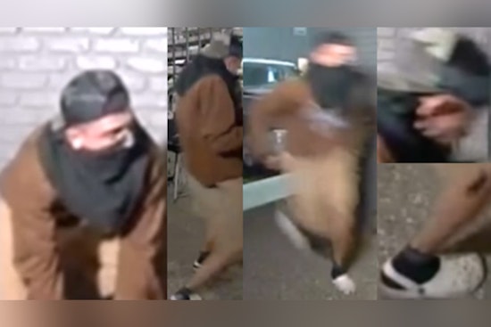 Hunt On For Glenmont Suspect Who Choked Out 71-Year-Old At Apartment Door