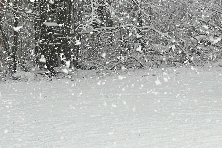 Ice Storm Warning Issued for Charlotte, Greenville, Spartanburg With Widespread Power Outages and Travel Hazards Expected
