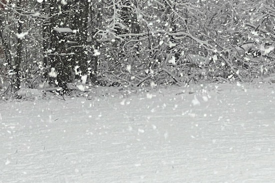 Ice Storm Warning Issued for Charlotte, Greenville, Spartanburg With Widespread Power Outages and Travel Hazards Expected