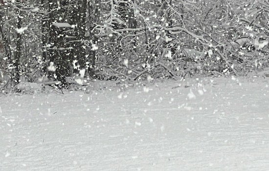 Ice Storm Warning Issued for Charlotte, Greenville, Spartanburg With Widespread Power Outages and Travel Hazards Expected