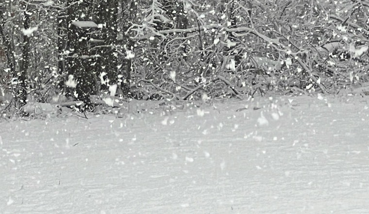 Ice Storm Warning Issued for Charlotte, Greenville, Spartanburg With Widespread Power Outages and Travel Hazards Expected