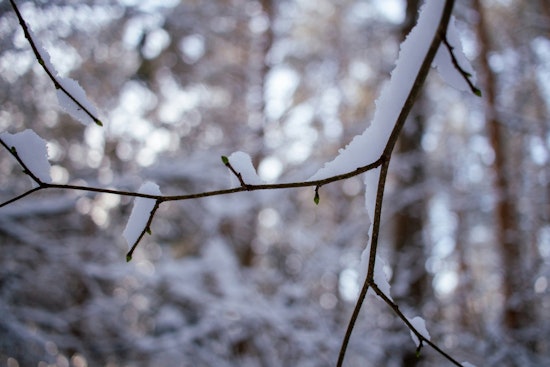 Indianapolis Braces for Mixed Rain and Snow Showers with Gusty Winds Ahead