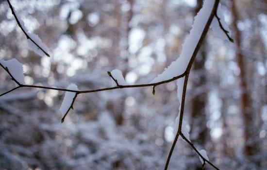 Indianapolis Braces for Mixed Rain and Snow Showers with Gusty Winds Ahead