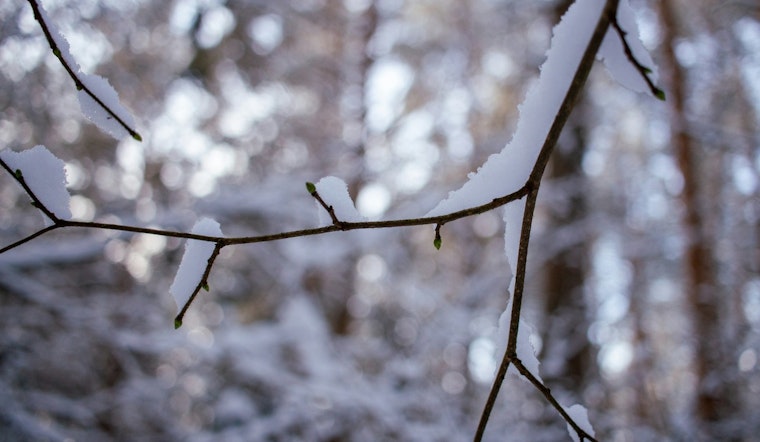Indianapolis Braces for Mixed Rain and Snow Showers with Gusty Winds Ahead