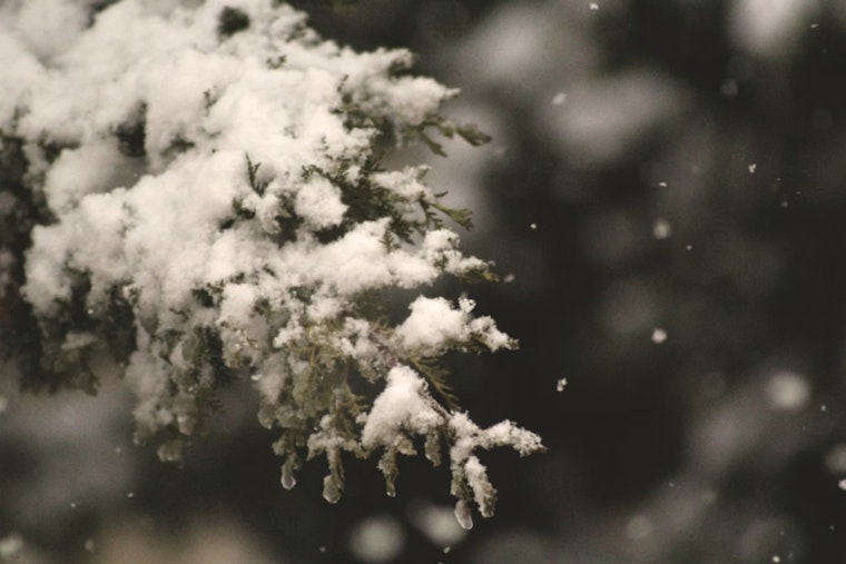 Indianapolis Braces for Wind Gusts and Snow Showers as Weather Service Advises Vigilance