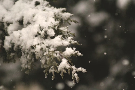 Indianapolis Braces for Wind Gusts and Snow Showers as Weather Service Advises Vigilance