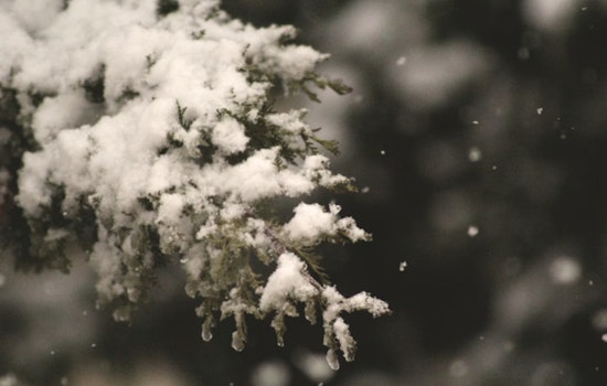 Indianapolis Braces for Wind Gusts and Snow Showers as Weather Service Advises Vigilance