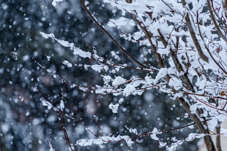 Indianapolis Hit by Siberian Chill, Warnings Issued for Extreme Cold and Looming Snowstorm