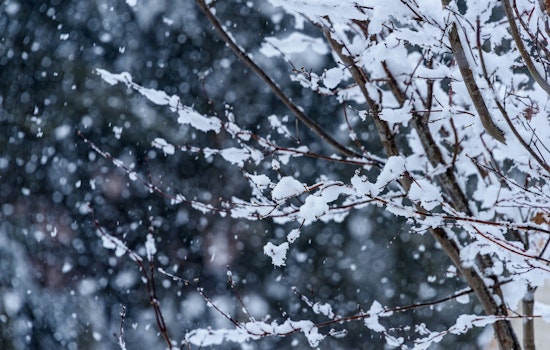 Indianapolis Hit by Siberian Chill, Warnings Issued for Extreme Cold and Looming Snowstorm