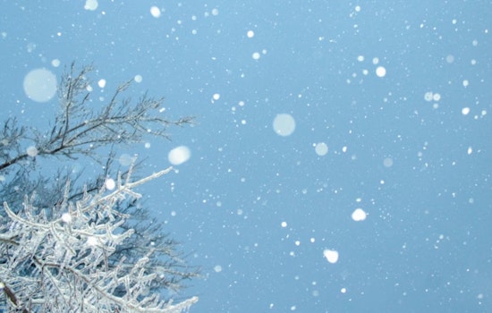 Indianapolis on Alert as NWS Issues Cold Weather Advisory and Wind Chills May Drop to Minus 16 Degrees