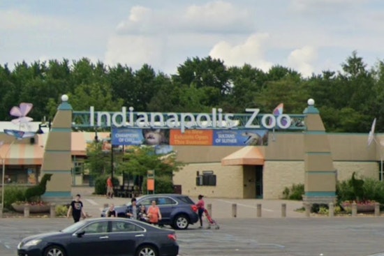 Indianapolis Zoo Celebrates Arrival of Newborn White-Handed Gibbon Amid Conservation Efforts
