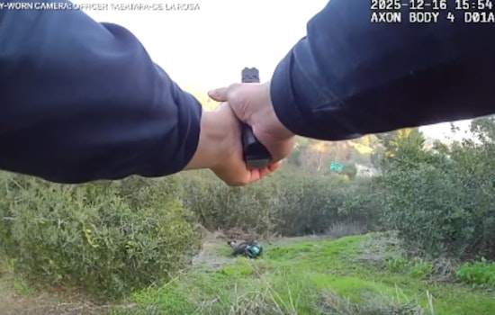 Investigation Launched After San Diego Police Officer Shoots Suspect During Balboa Park Chase