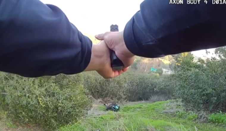 Investigation Launched After San Diego Police Officer Shoots Suspect During Balboa Park Chase