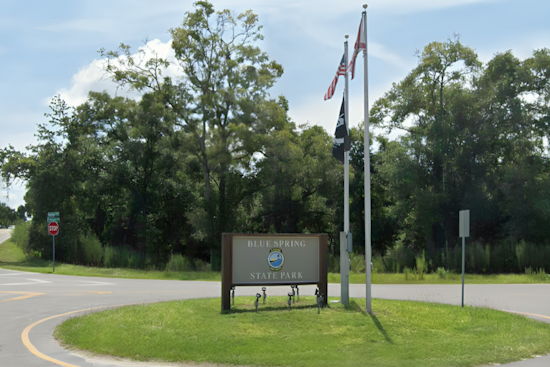 Investigation Underway as Avian Flu Suspected in 101 Vulture Deaths at Florida's Blue Spring State Park