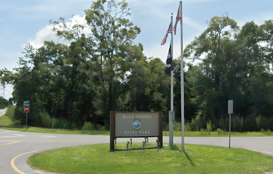 Investigation Underway as Avian Flu Suspected in 101 Vulture Deaths at Florida's Blue Spring State Park