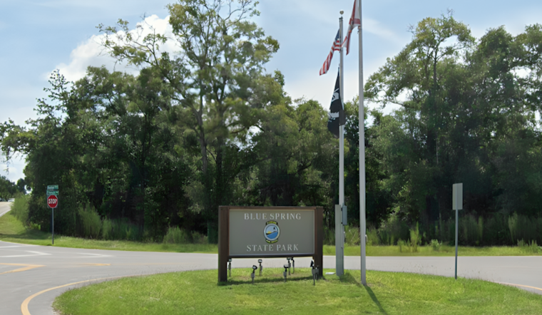 Investigation Underway as Avian Flu Suspected in 101 Vulture Deaths at Florida's Blue Spring State Park
