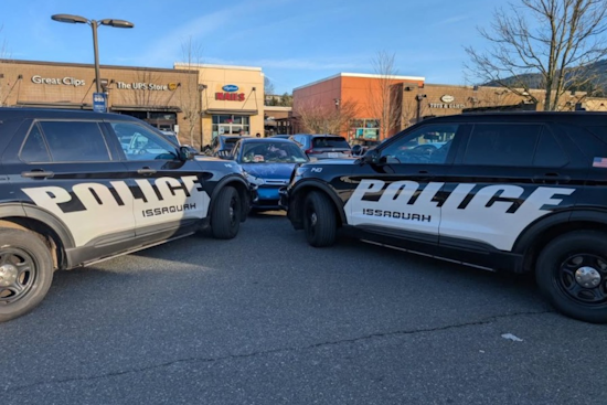 Issaquah Individual Arrested Twice in Five Days for Violating Protection Order, Police Say