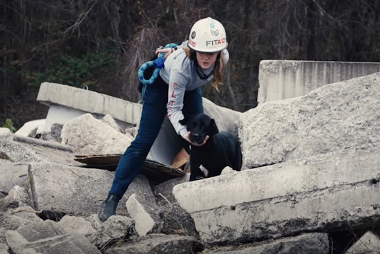 Jacksonville and Texas K9 Units Team Up for Advanced Rescue Training at Local Fire Academy
