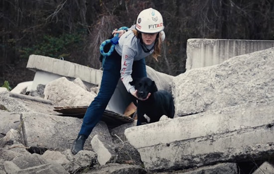 Jacksonville and Texas K9 Units Team Up for Advanced Rescue Training at Local Fire Academy