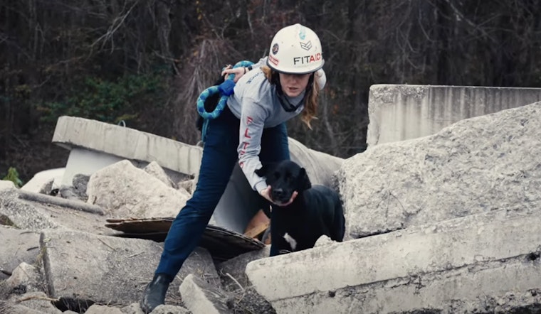 Jacksonville and Texas K9 Units Team Up for Advanced Rescue Training at Local Fire Academy