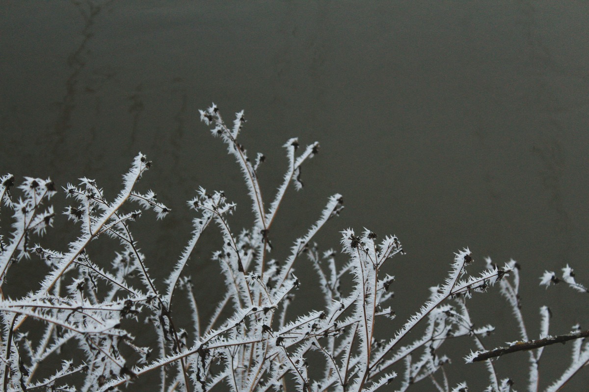 Jacksonville Area Placed Under a Freeze Warning and Cold Weather
