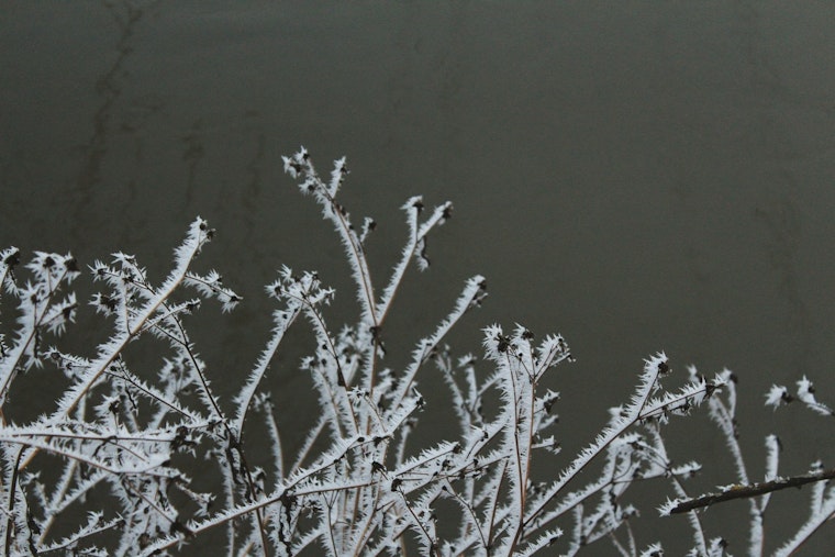 Jacksonville Area Placed Under a Freeze Warning and Cold Weather Advisory as Residents Are Urged to Take Precautions