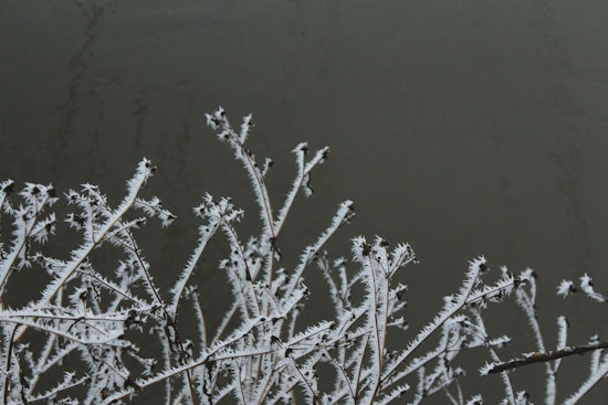 Jacksonville Area Placed Under a Freeze Warning and Cold Weather Advisory as Residents Are Urged to Take Precautions