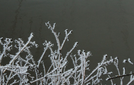 Jacksonville Area Placed Under a Freeze Warning and Cold Weather Advisory as Residents Are Urged to Take Precautions