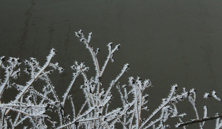 Jacksonville Area Placed Under a Freeze Warning and Cold Weather Advisory as Residents Are Urged to Take Precautions