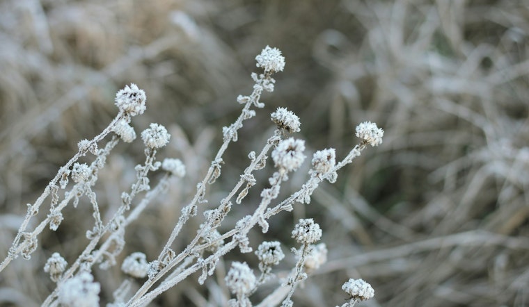 Jacksonville Prepares for Frost Advisory as NWS Warns of Incoming Cold Snap