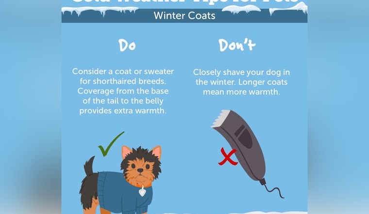 Jacksonville Rallies Against Unseasonable Chill, City Offers Warming Centers & Pet Safety Tips