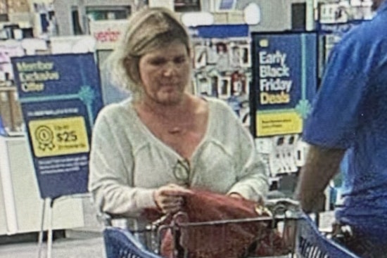Jacksonville Sheriff's Office Seeks Public Aid to Nab Suspect in $880 Retail Theft on Blanding Boulevard