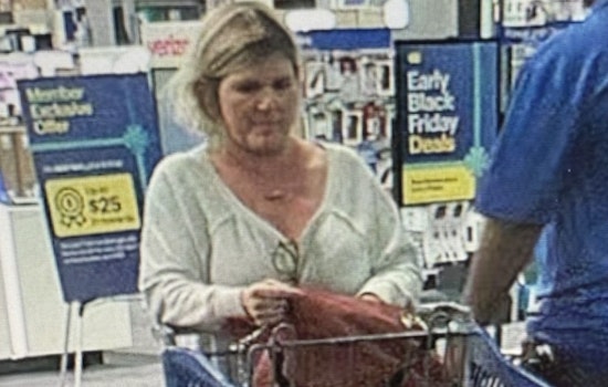 Jacksonville Sheriff's Office Seeks Public Aid to Nab Suspect in $880 Retail Theft on Blanding Boulevard