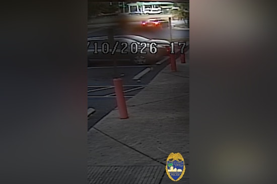 Jacksonville Sheriff's Office Seeks Public's Help in Fatal Hit-and-Run Case on Vernon Road