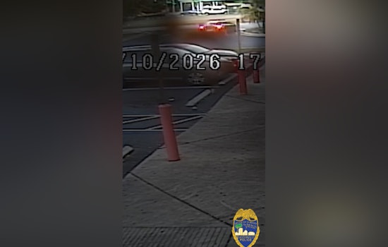 Jacksonville Sheriff's Office Seeks Public's Help in Fatal Hit-and-Run Case on Vernon Road
