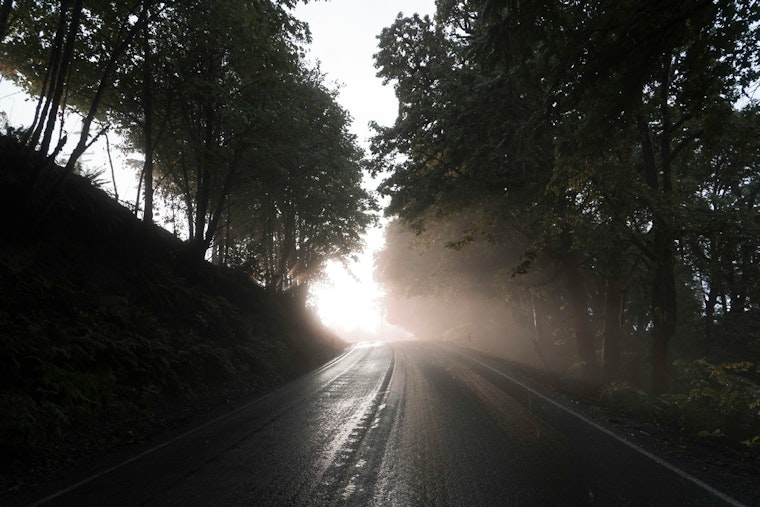 Jacksonville to Enjoy Mostly Sunny Days and Mild Nights Amid Foggy Conditions According to NWS