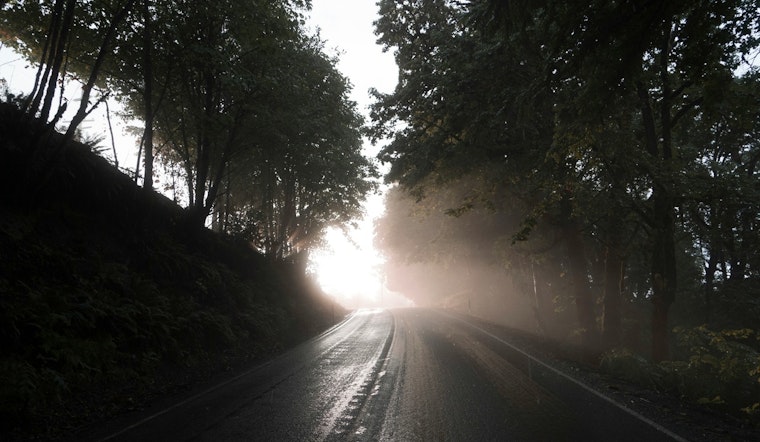 Jacksonville to Enjoy Mostly Sunny Days and Mild Nights Amid Foggy Conditions According to NWS