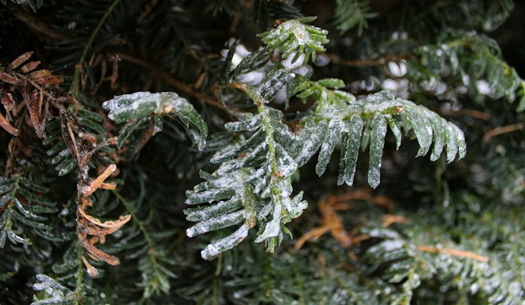 Jacksonville Weather Service Issues Cold Snap Warnings and Advises Protective Measures for Northeast Florida