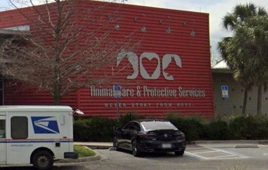 Jacksonville's ACPS and First Coast Crime Stoppers Launch Alliance to Combat Animal Cruelty with Rewards for Tips