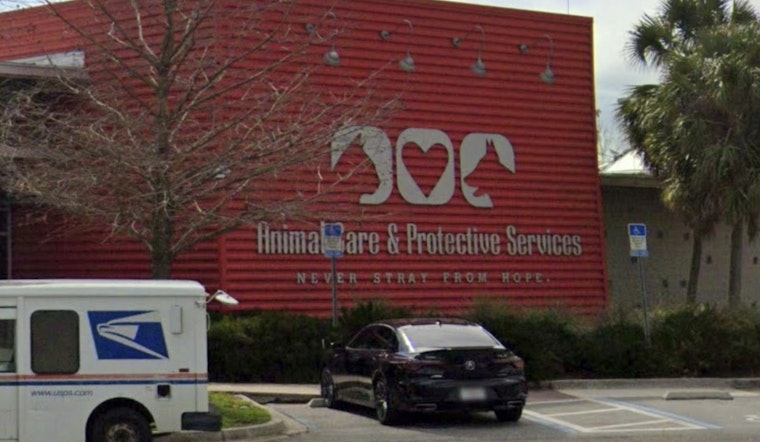 Jacksonville's ACPS and First Coast Crime Stoppers Launch Alliance to Combat Animal Cruelty with Rewards for Tips