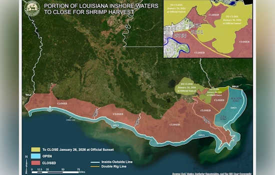 January 26 Marks End of Fall Inshore Shrimp Season in Louisiana State Waters to Protect Juvenile Population