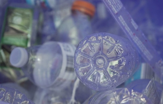 Join Brooklyn Park's Plastic-Free Challenge for a Sustainable February