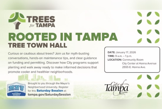 Join the Conversation on Urban Forestry at Tampa's Inaugural "Rooted in Tampa: Tree Town Hall" This Saturday