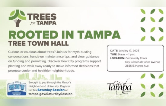 Join the Conversation on Urban Forestry at Tampa's Inaugural "Rooted in Tampa: Tree Town Hall" This Saturday