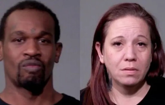 Joliet Duo Arrested for Alleged Theft of $5,000 Worth of Funko Pop Figurines