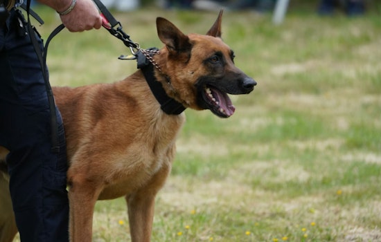 K-9 Cops Track 11 Miles For Maverick County’s First Border Bust Of 2026