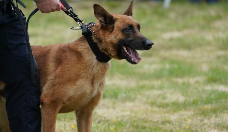 K-9 Cops Track 11 Miles For Maverick County’s First Border Bust Of 2026
