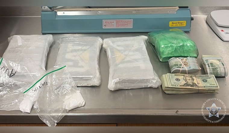 K-9 Sniffs Out 11 Pounds of Coke in I-5 Stop South of Roseburg