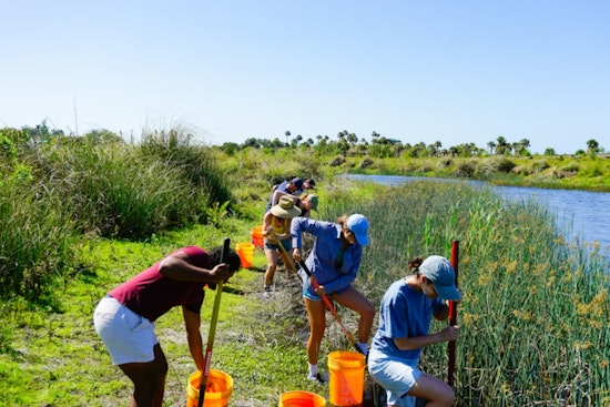 Kaiser Permanente Staff Honor MLK Day with Environmental Stewardship Across Hawai‘i's Big Island and Kaua‘i