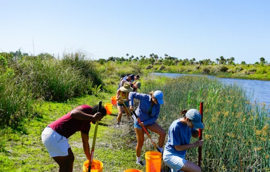 Kaiser Permanente Staff Honor MLK Day with Environmental Stewardship Across Hawai‘i's Big Island and Kaua‘i